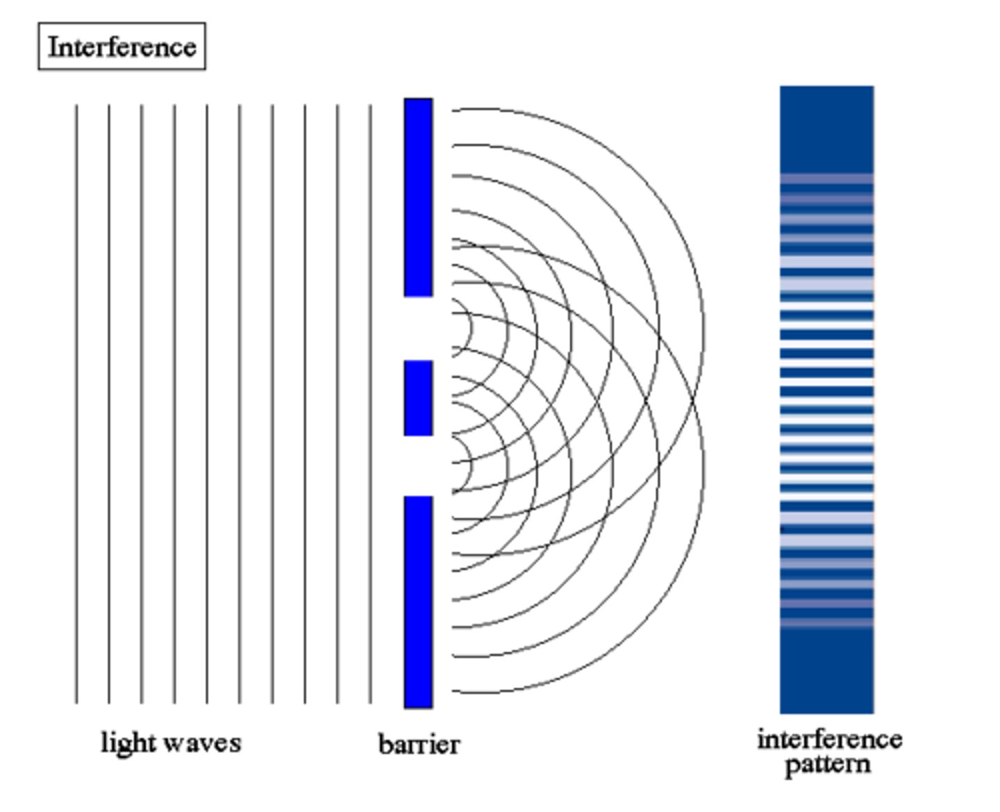 <p>(B) Huygen's Principle</p><p>Huygen's Principle explains why waves spread out/bend as they go through a hole/slit.</p>