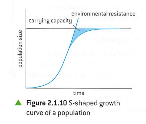 1) starts with exponential growth -- no limiting factors affect the growth at first
2) above a certain population size, growth rate slows down gradually, resulting in population of constant size