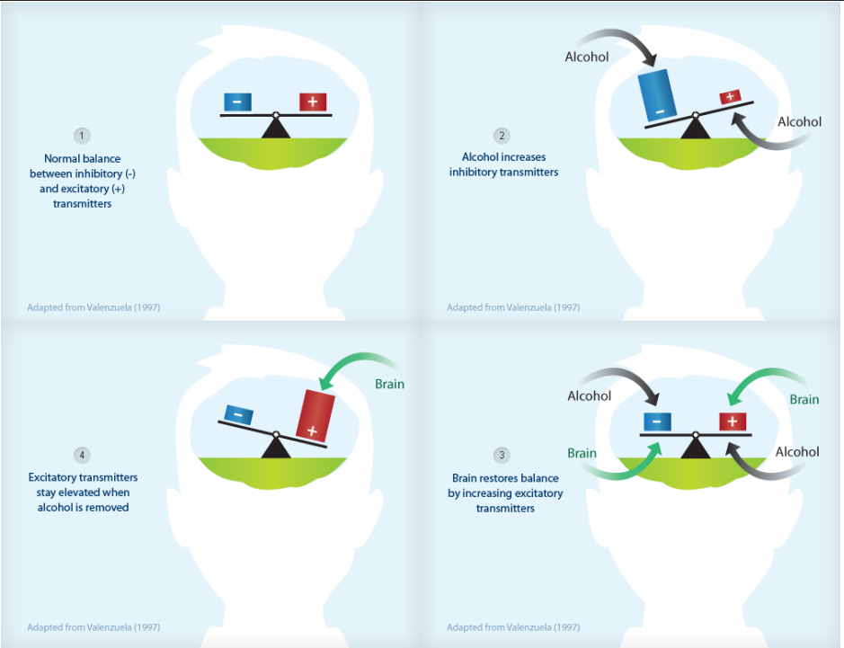 <p>Good representation of alcohol efect on body (addiction and withdrawal)</p>