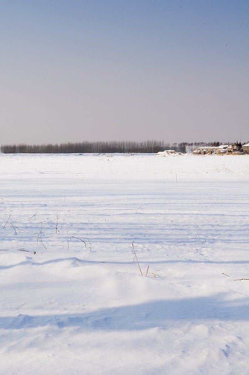 <p>winter (dōngtiān)</p>