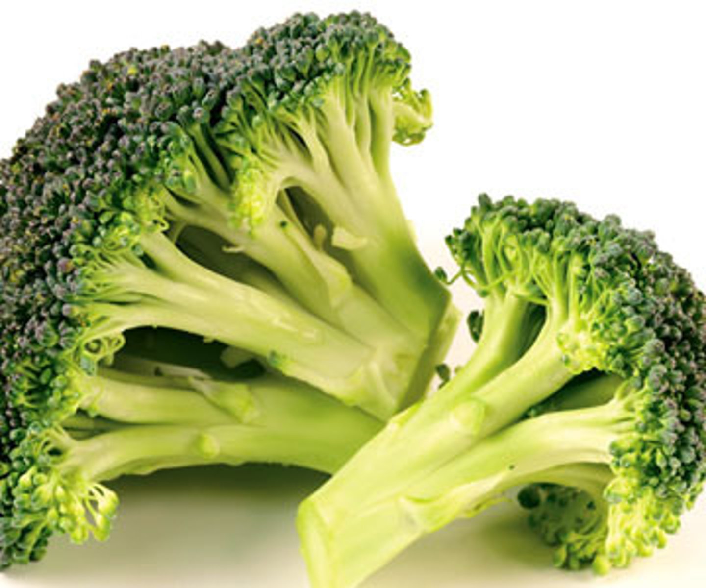 <p>broccoli (xī lán huā)</p>