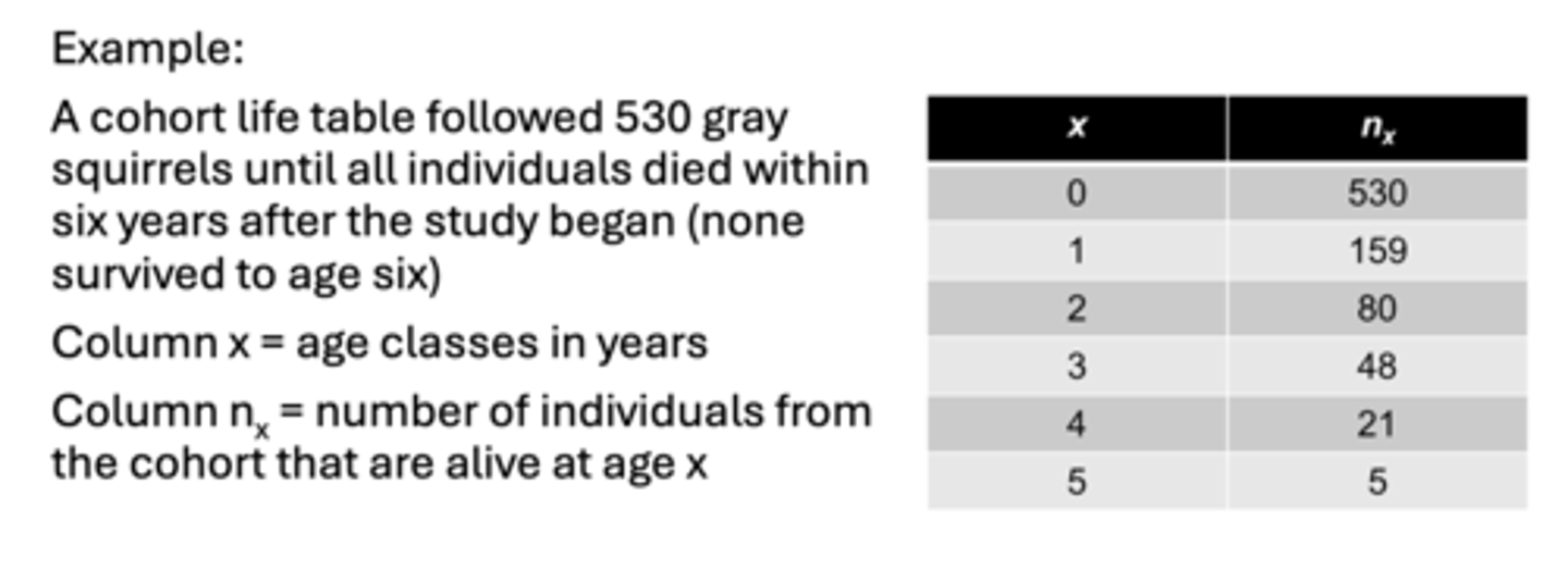 <p>age-specific account of mortality</p>