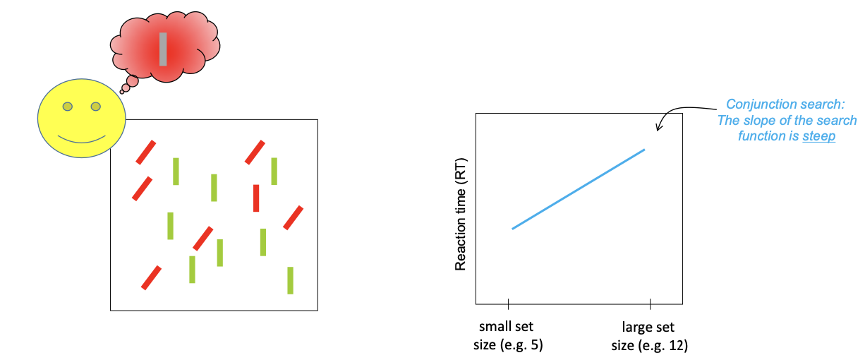 <ul><li><p>Task: Find the red vertical bar</p></li><li><p>You probably try limit search to the red items, looking for a vertical one</p></li><li><p>Slower, more serial than single feature search</p></li></ul><p></p>