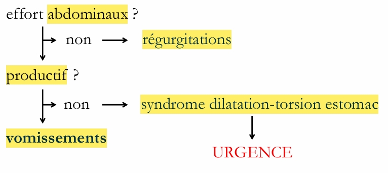 <p>Vomissements aigus</p>
