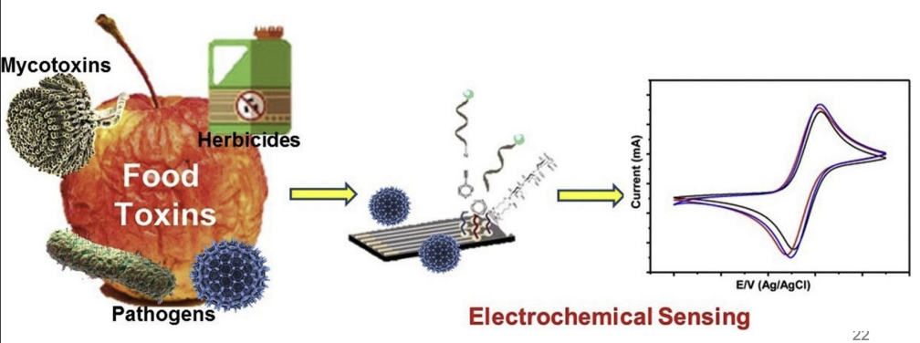 <ul><li><p>Biosensors</p></li><li><p>DNA probes or specific antibodies</p></li></ul><p></p>