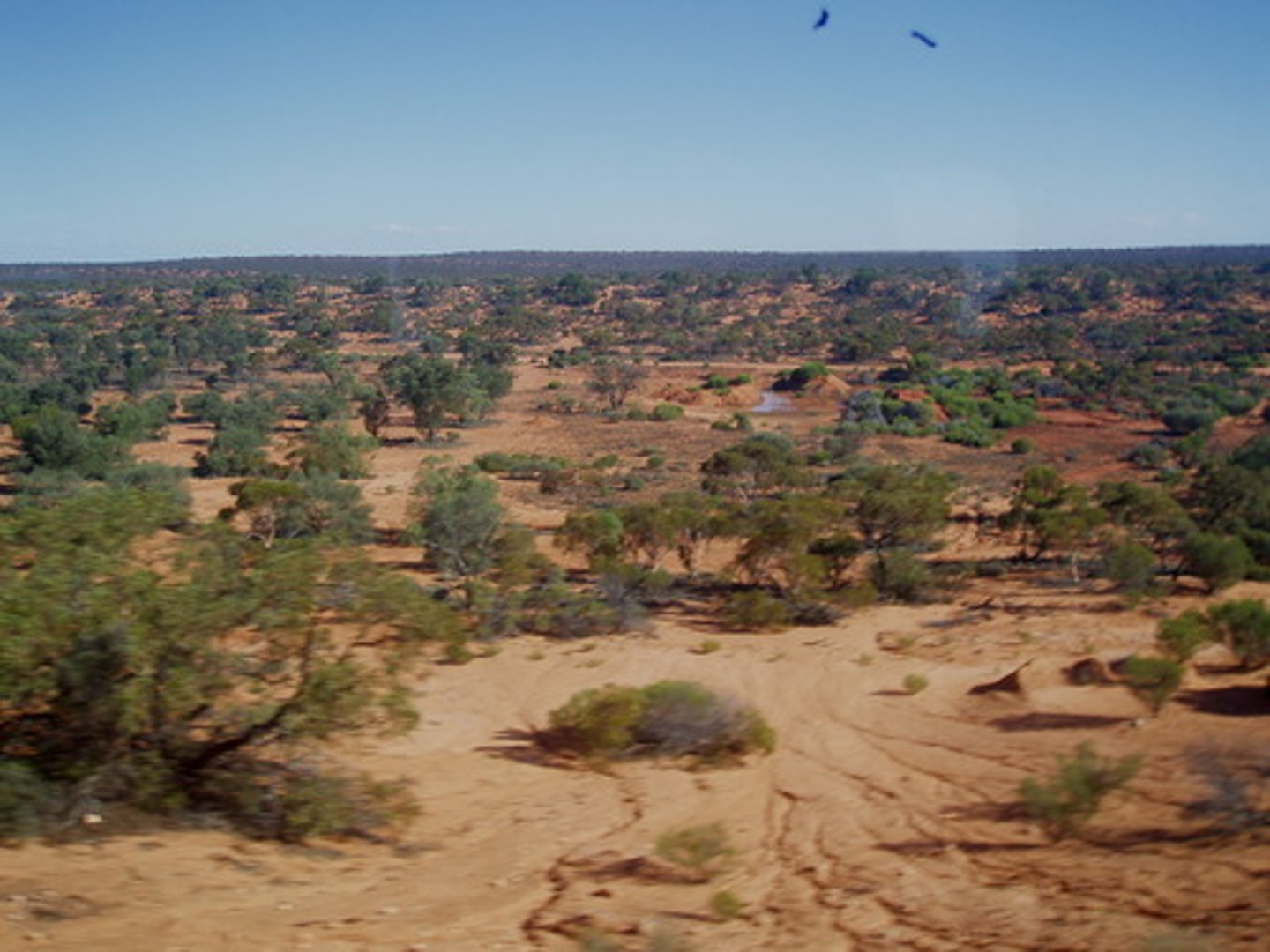 <p>dry and unfertile land that stretches from South Australia to Western Australia</p>