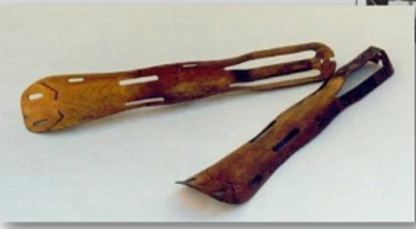 <p>Wood veneers</p><p>Synthetic resins</p><p>Molded</p><p>Single form/shell</p>