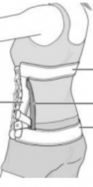 <p>Identify parts</p>