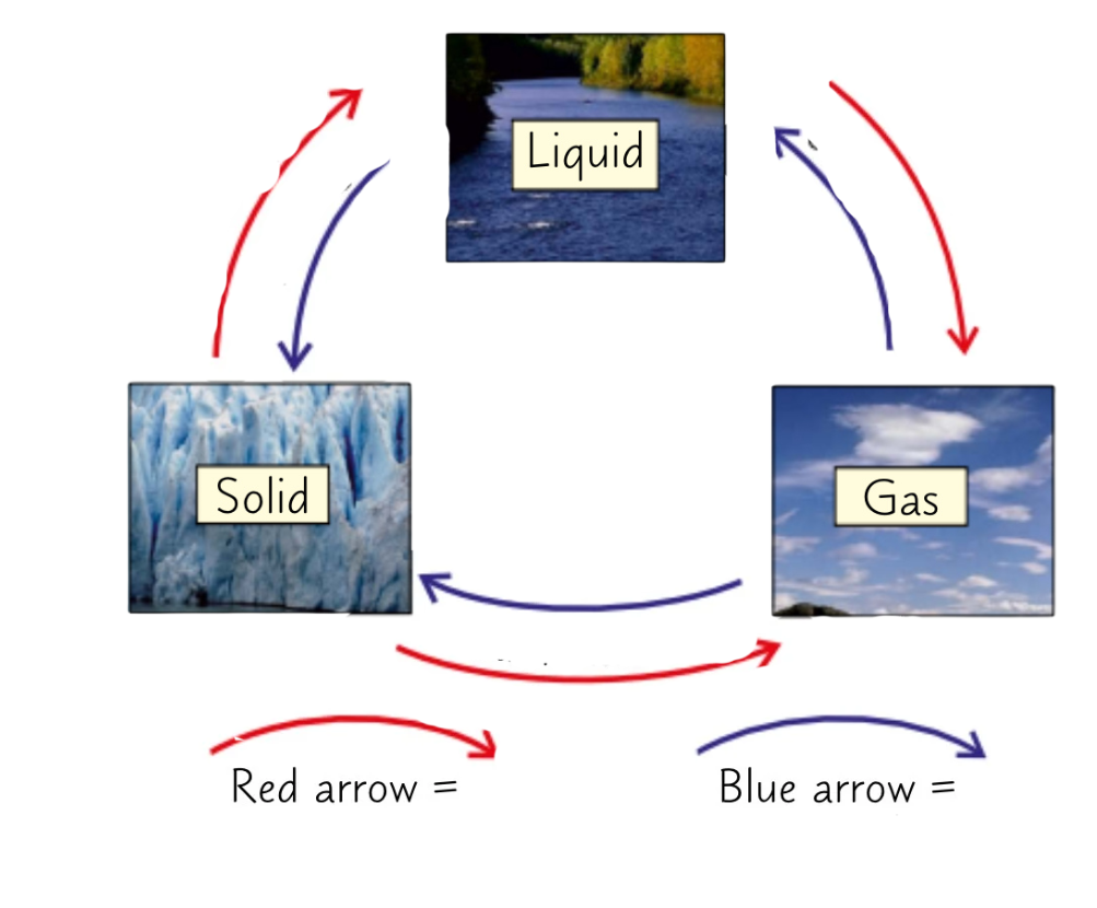 <p><strong>Label the states diagram </strong></p>