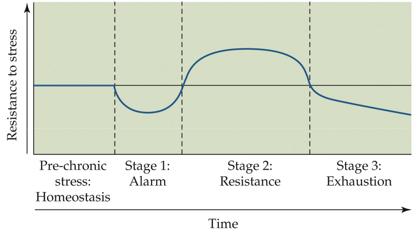 <p>Fig. 11.8 GAS</p>