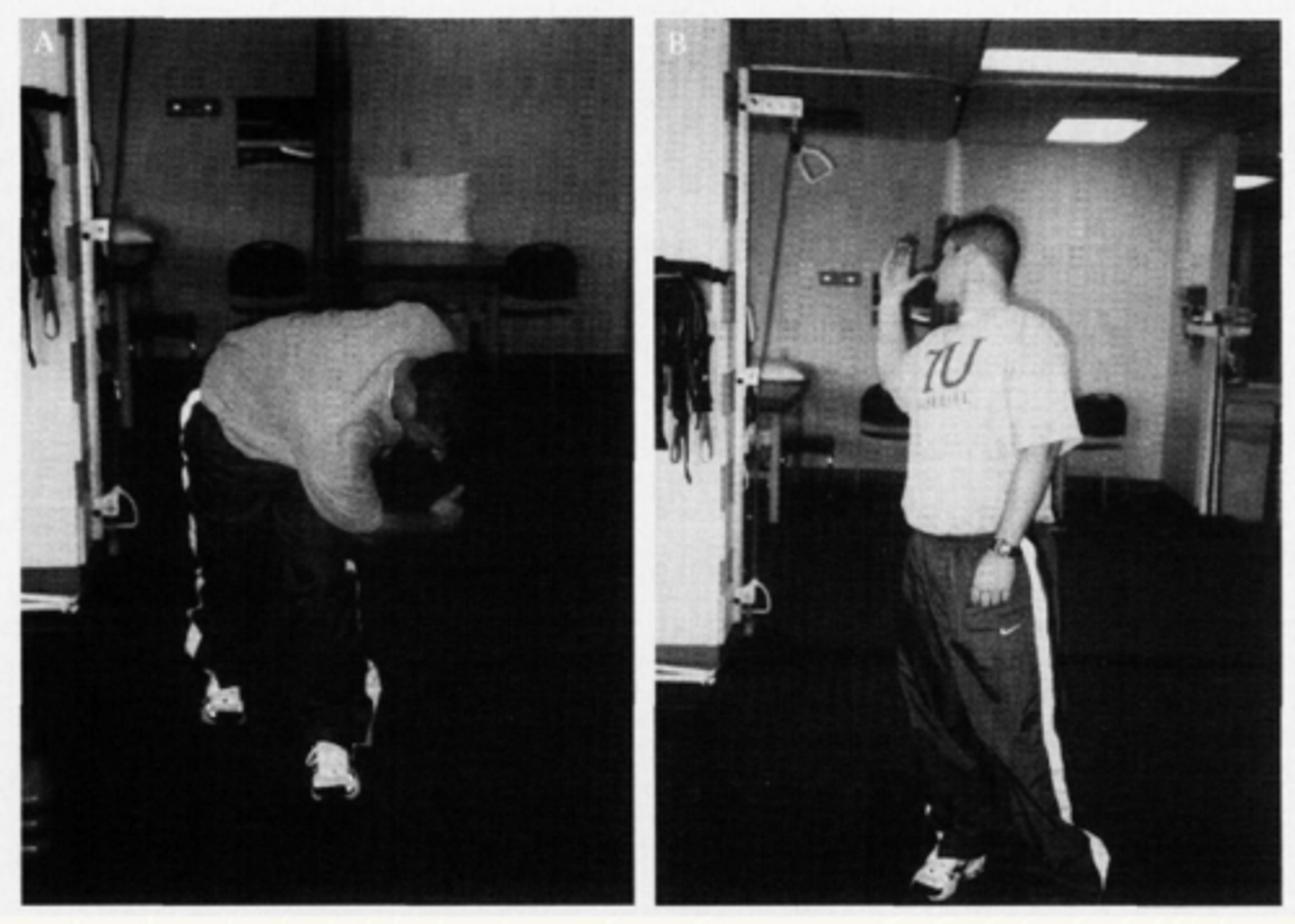 <p>What exercise is this?</p>
