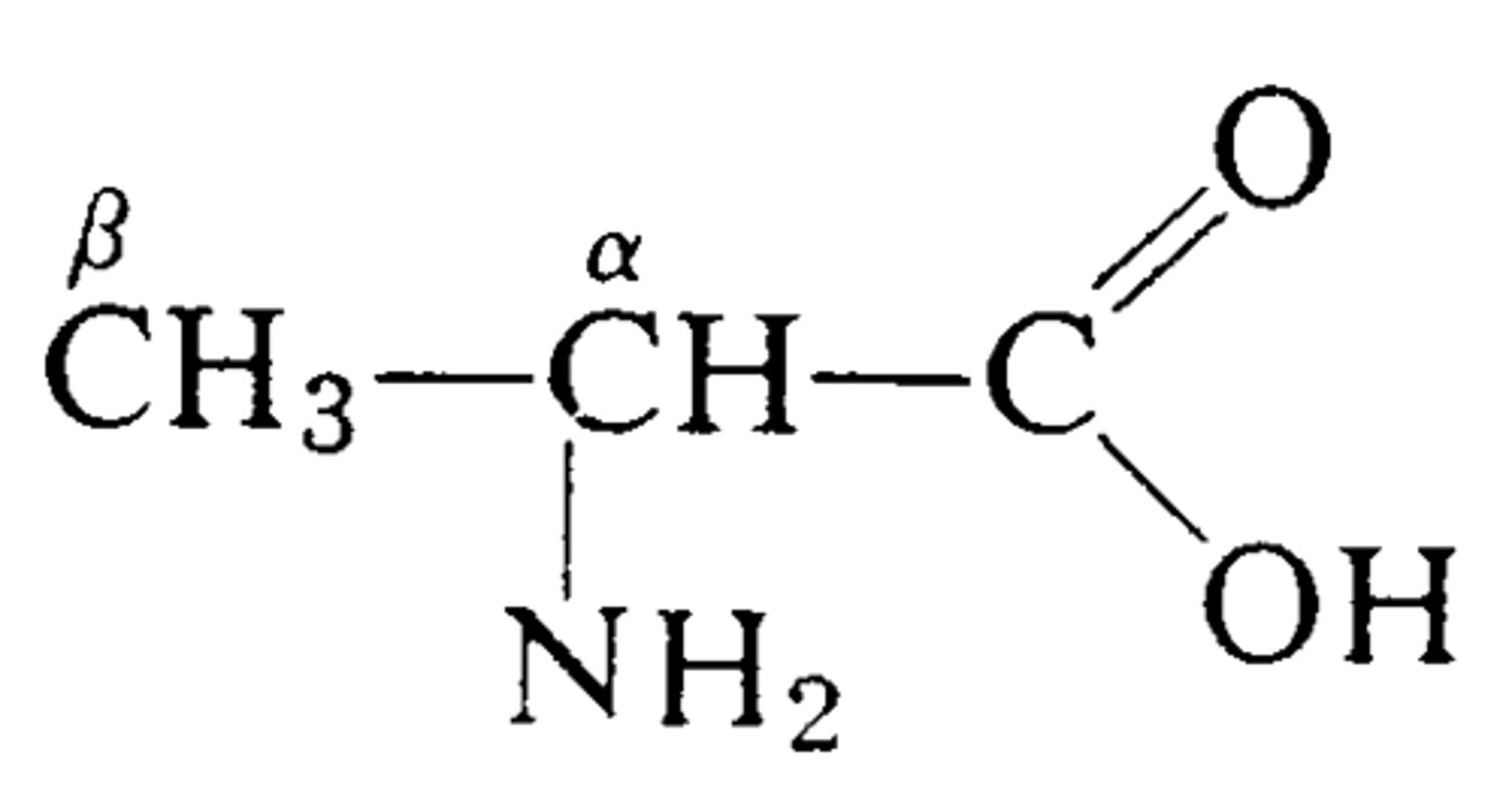 <p>central carbon</p>