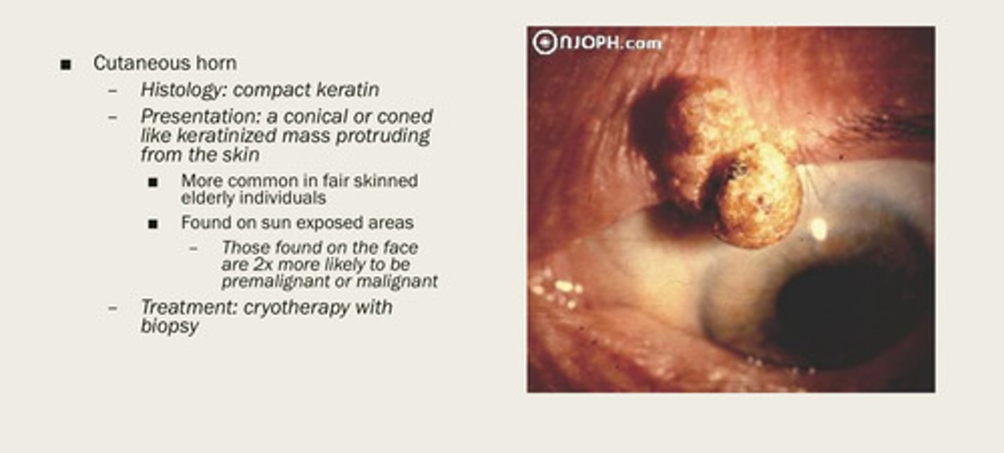 <p>Cutaneous horns that are found on the face are ___x a likely to be premalignant or malignant</p>
