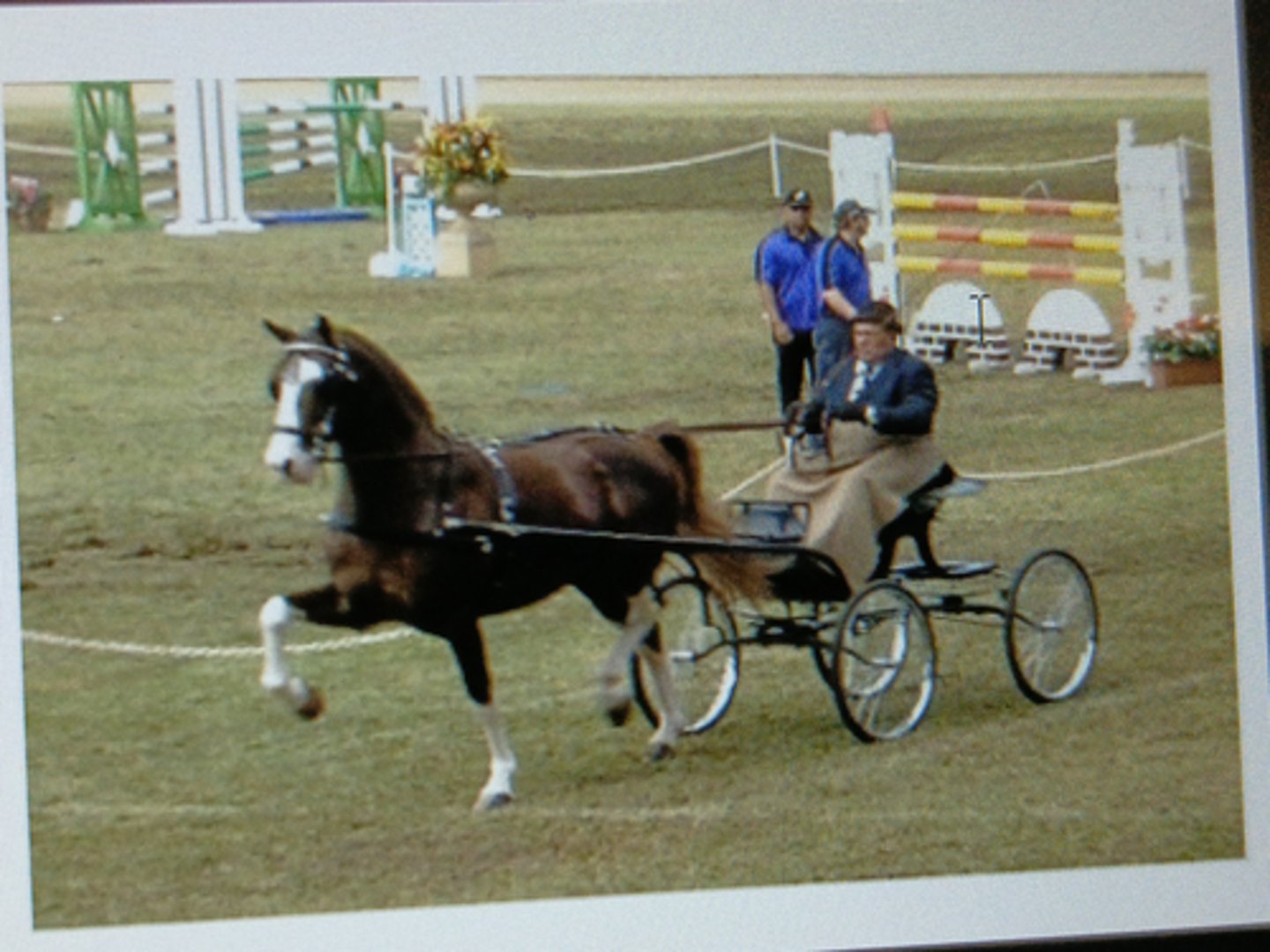 <p>Origin: Great Britain</p><p>¡ Carriage driving</p><p>¡ Height: 14.2-16.2h</p><p>¡ Color: bay, brown, chestnut,</p><p>black w/ white markings</p><p>(sabino genetics)</p><p>¡ Slightly convex nose</p><p>¡ High knee and hock action</p>