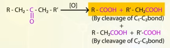<p>you get mixture of carboxylic acids </p><p></p>