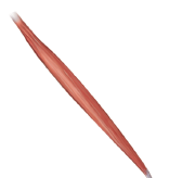 <p>PARALLEL</p>