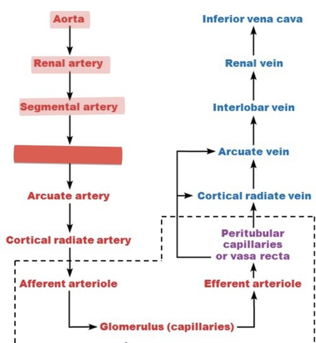 <p>What is this?</p>