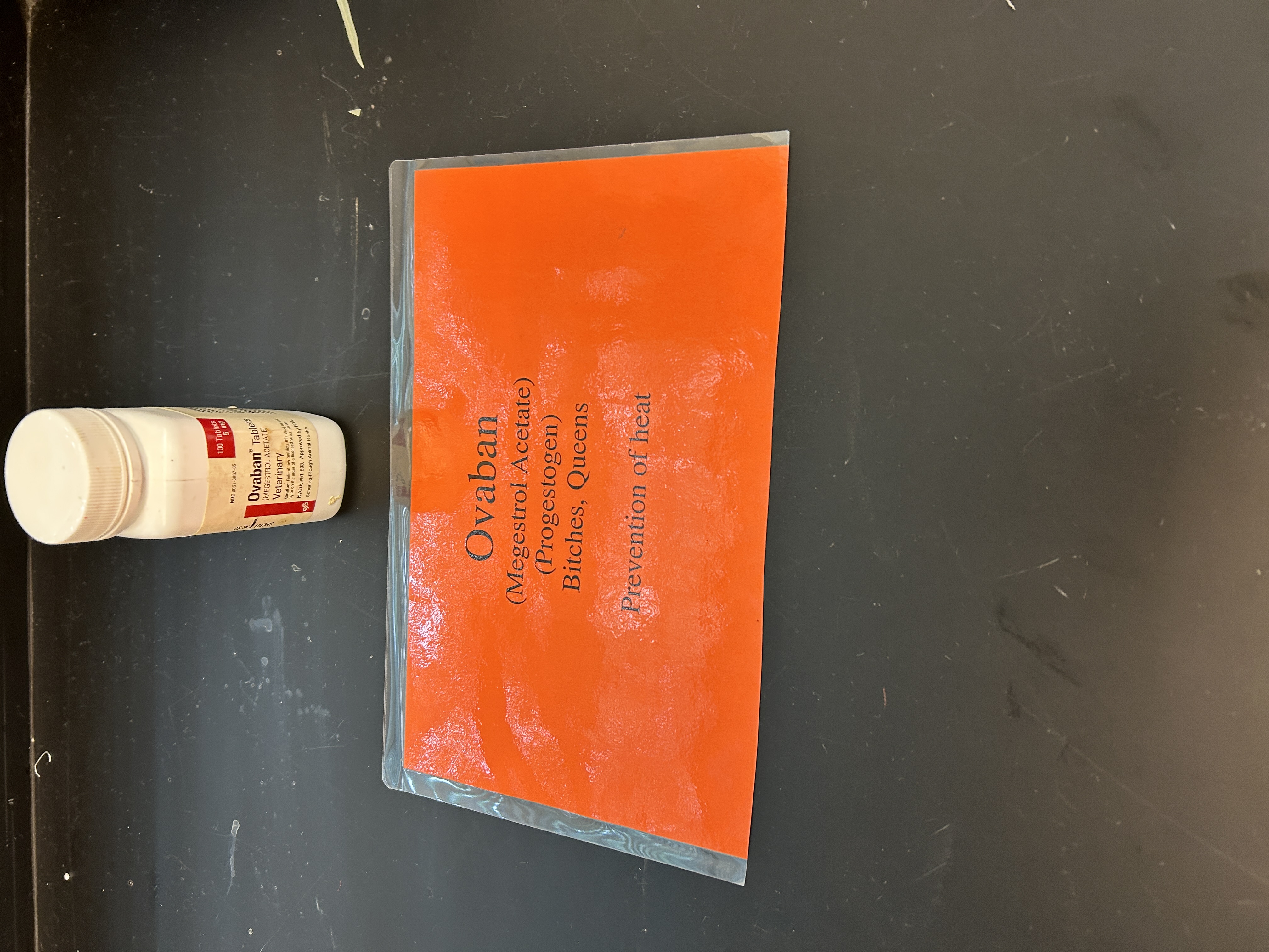 <p>Prevention of heat; Dogs, Cats</p>