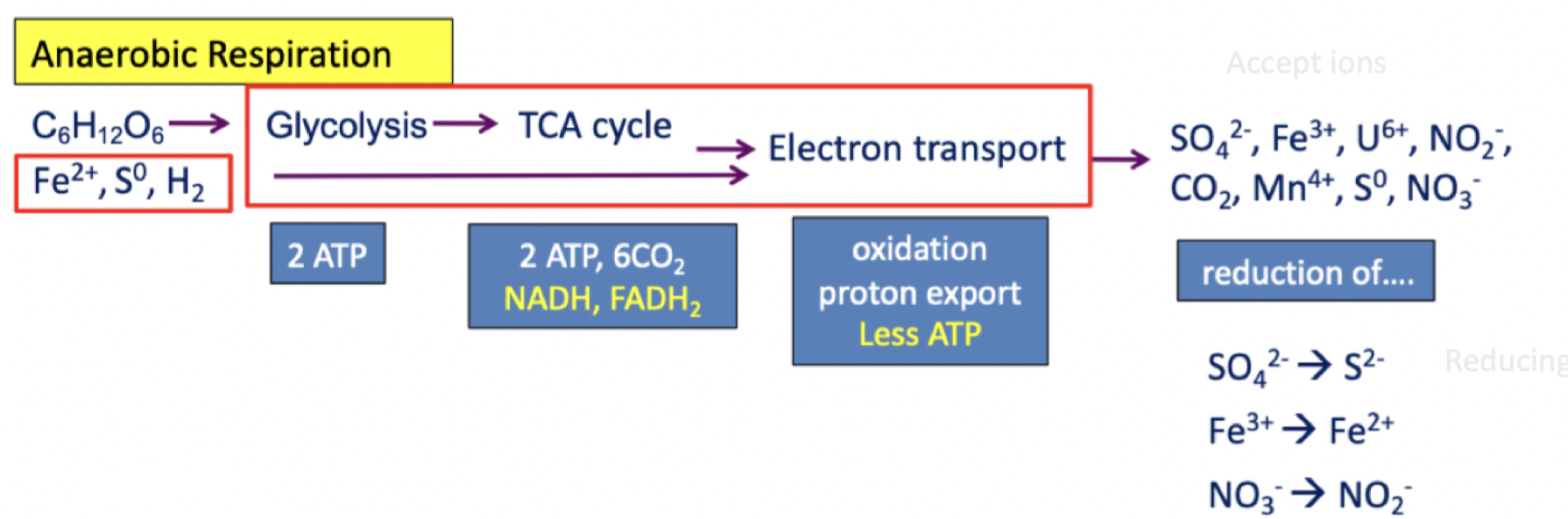 The micro-organisms will find what their next best electron acceptor, closer to bottom of redox tower

      

\
Reducing SO4 2-  -> S2-

                 Fe3+  -> Fe2+

                 NO3-  -> NO2-

 

Less energy as the difference in the redox tower isnt as big, so have less energy to pump protons across the gradient and then bring them back     