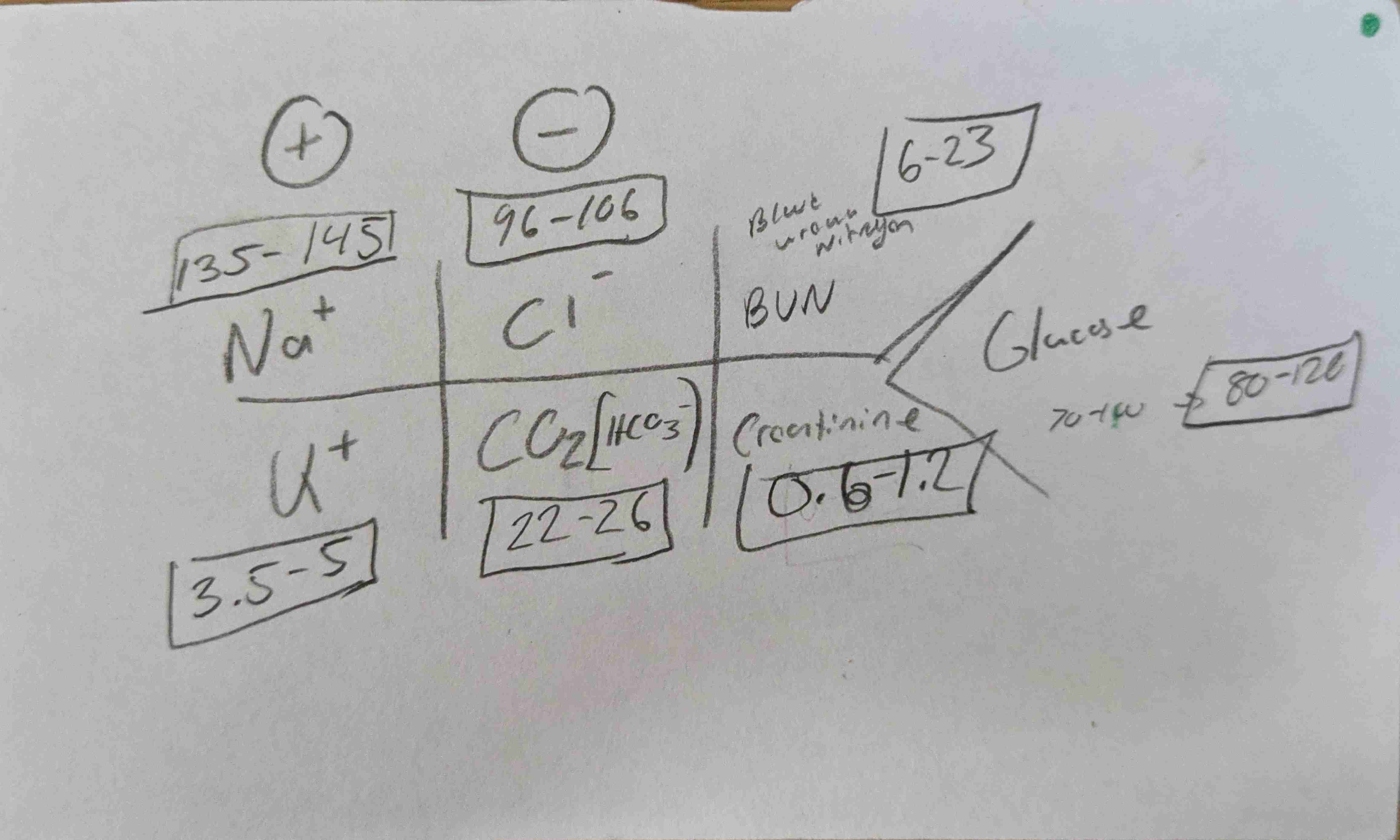 knowt flashcard image