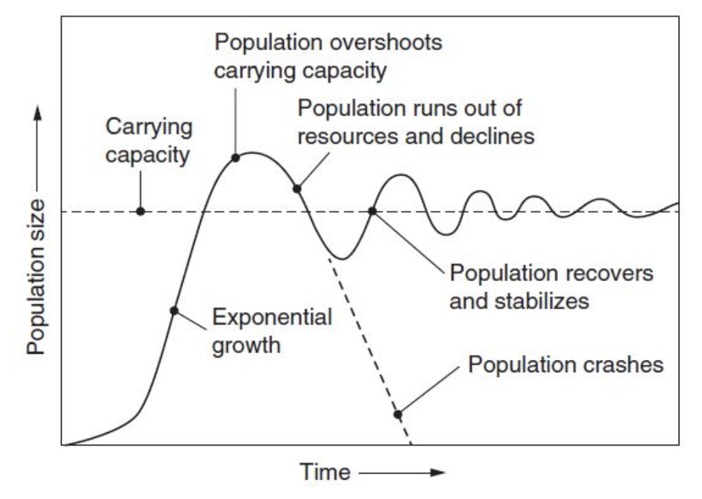 Figure 7.3 Population changes and carrying capacity.