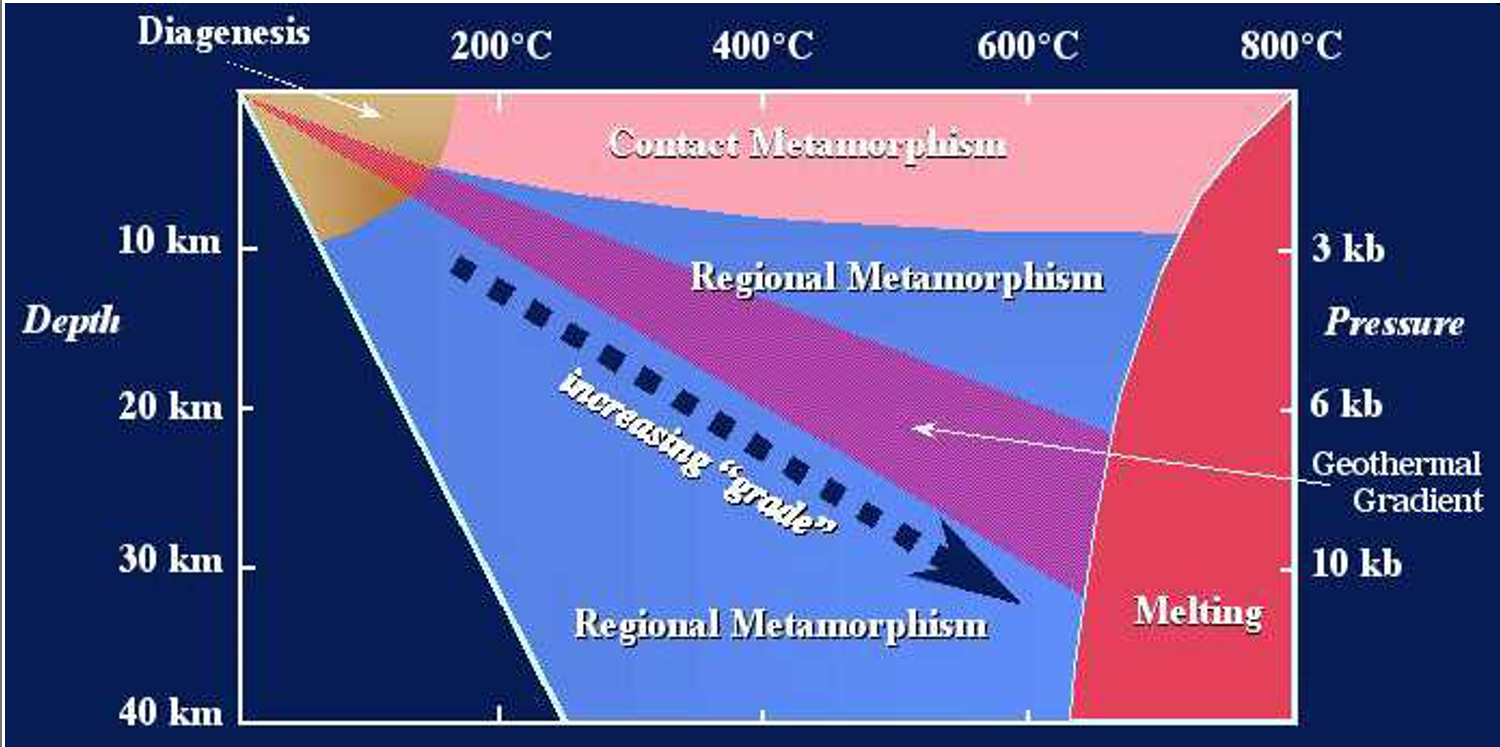 <p>processes leading to lithification (loose sediments→ rock)</p><p>→ do not convert to new minerals like meta</p><p>→ burial of rocks can lead to change in bulk comp</p><p>→ sedimentary features still exist unlike meta</p>