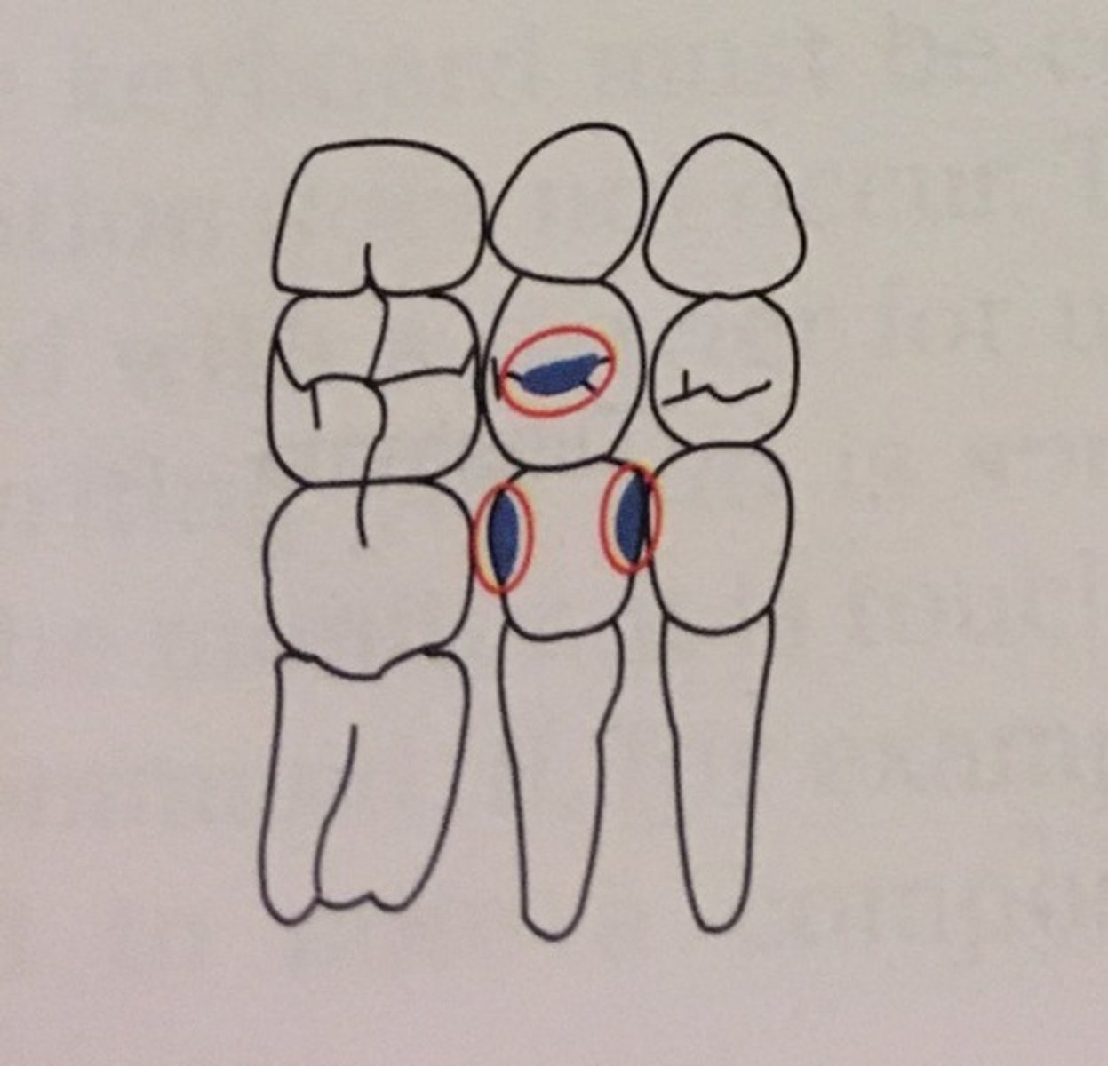 knowt flashcard image