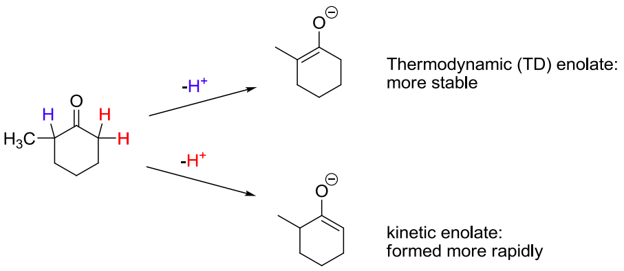 <p>kinetic </p><ul><li><p>the kinetic enolate has the less substituted C=C double bond </p></li></ul><p></p>