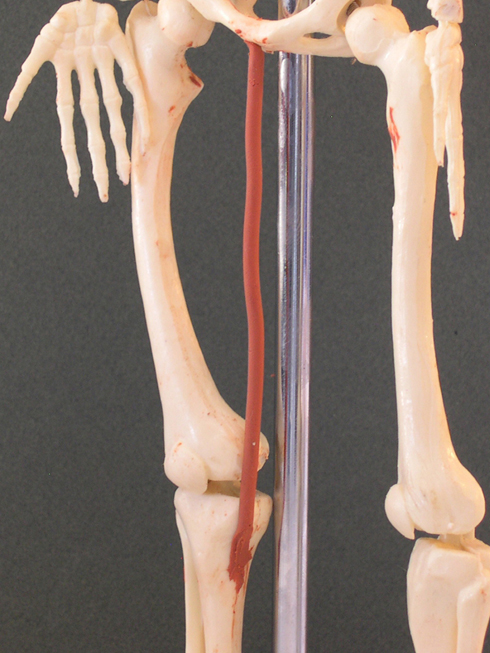 <p>adduct leg at hip, flex knee</p>