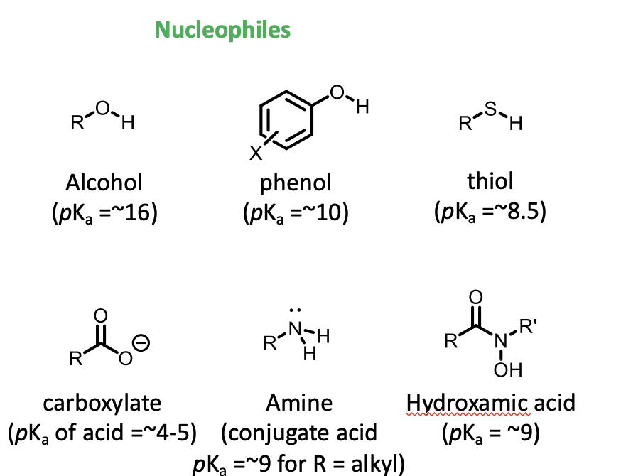 <p>OH</p><p>phenols</p><p>SH groups</p><p>carboxylate groups</p><p>amines</p><p>hydroxamates</p><p>Has a lone pair of electrons and negative charge </p>