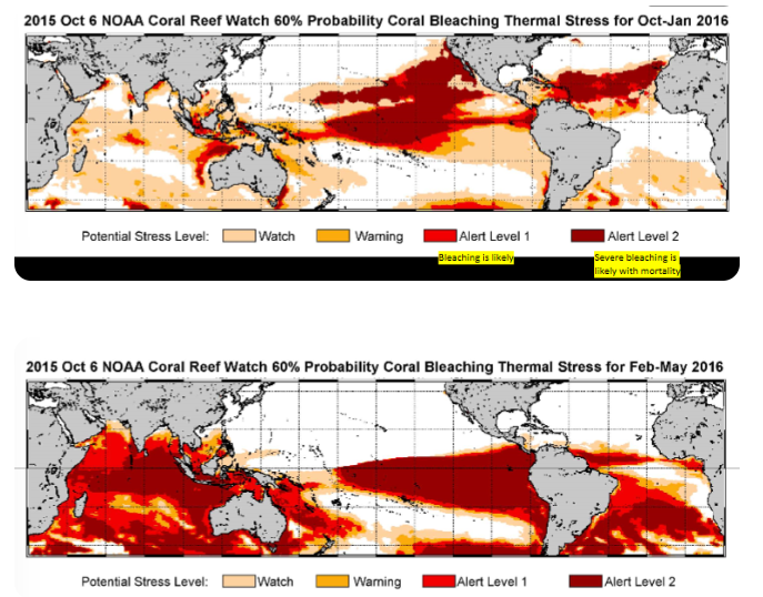 <p>prediction of moderate-severe coral bleaching throughout the tropics</p>