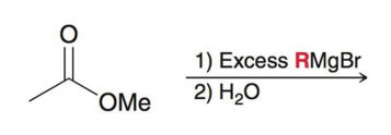 <p>Mechanism</p>