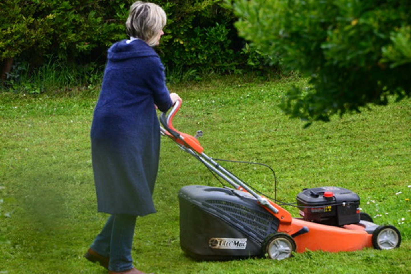 <p>to mow</p>