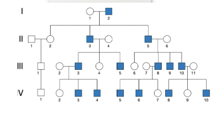 <p>only males show the trait, affected males will pass the allele to his sons, cannot pass the trait onto his daughter</p>