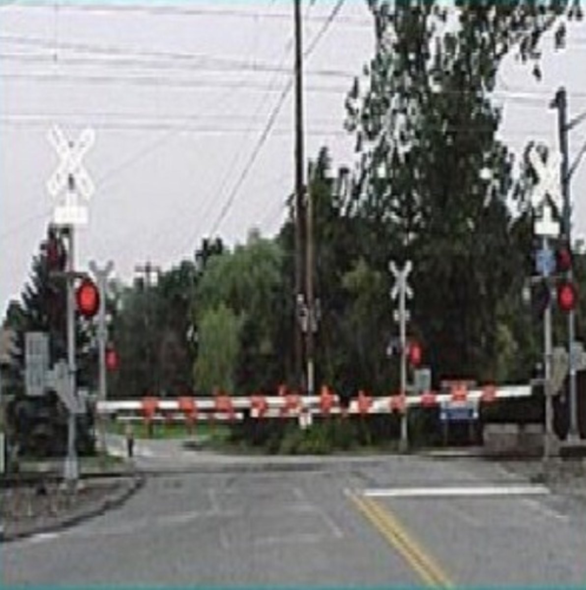 <p>Stay in place until the gates are raised</p>
