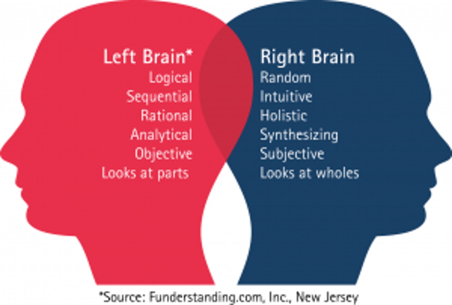 <p>Is more free-spirited and more involved in intuition, emotion, and artistic and muscle skills,</p><p>Tend to be left handed</p>
