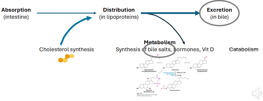 <p>DIAGRAM ON SLIDE 3</p>