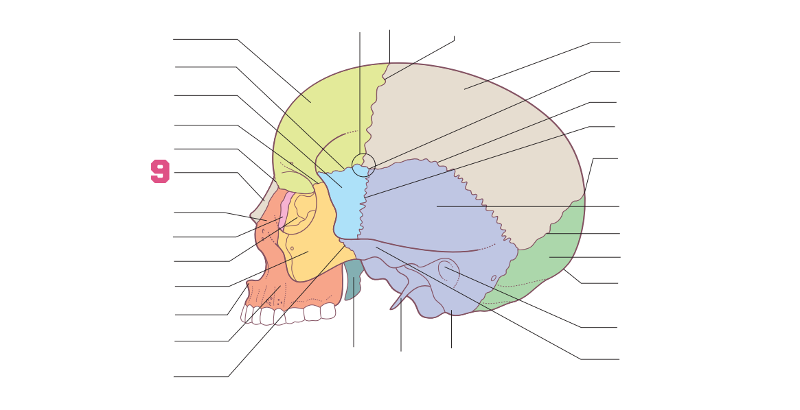 <p>09</p>