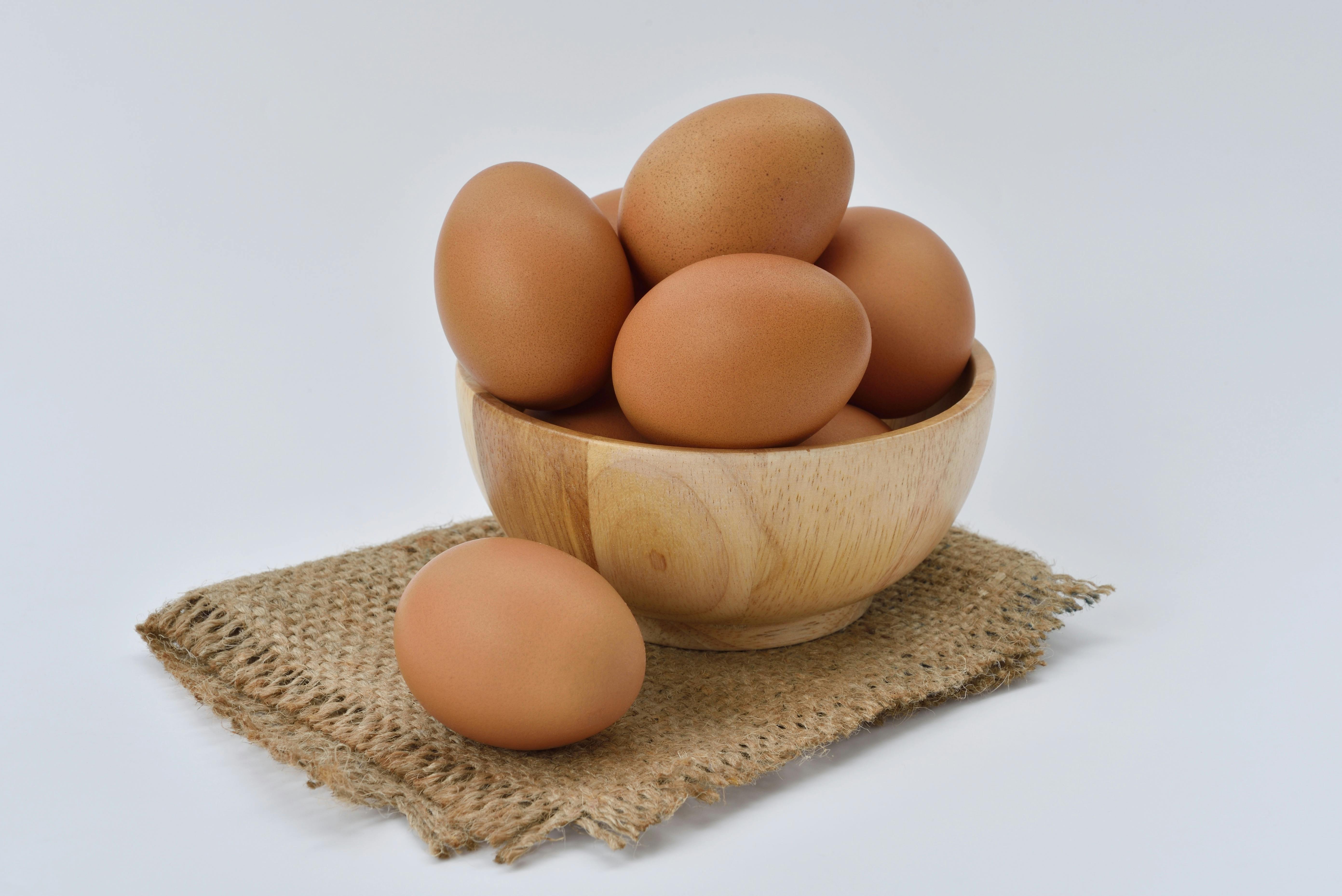 <p>Eggs, meat, fish, milk</p>