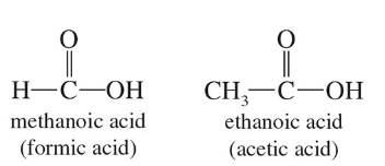 <p>Contain the <strong>Carboxyl Group </strong>(-COOH)</p>