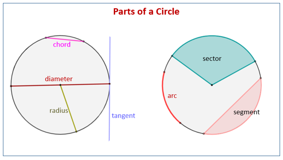 <p>circle</p>