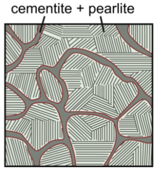 <p>1.0wt% C: cementite and pearlite. >0.8%. microstructure contains more cementite, which is a brittle phase. Very strong but not as ductile. more Fe<sub>3</sub>C → network causes to be more brittle </p>