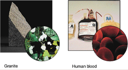 <p>A mixture in which there is <strong>no uniform composition</strong>.</p><p>ex: salad, granite, human blood, soup</p>