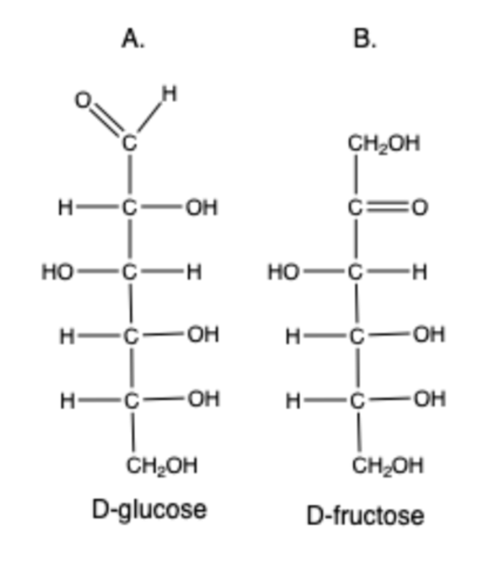 <p>Which of the following two monosaccharides is an aldose?</p><p>B. D-fructose</p><p>A. D-glucose</p>