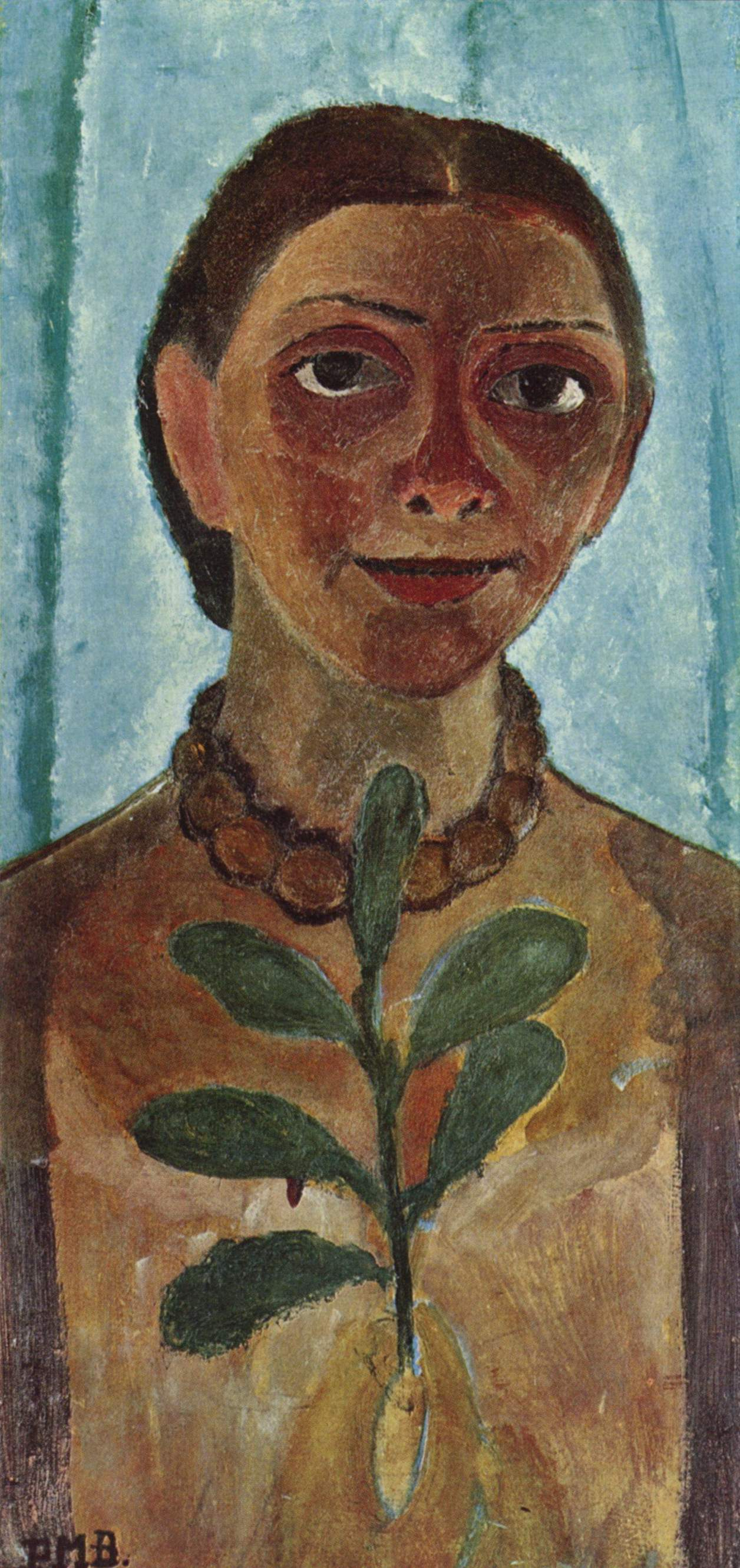 term image