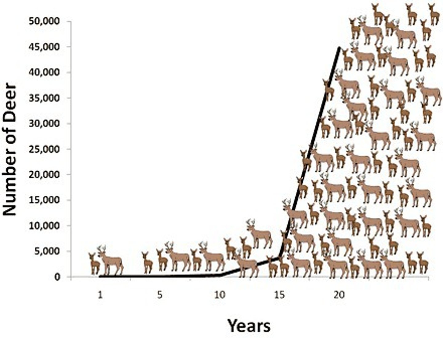 <p>things that affect population growth based on how crowded the population is e.g. competition for food</p>