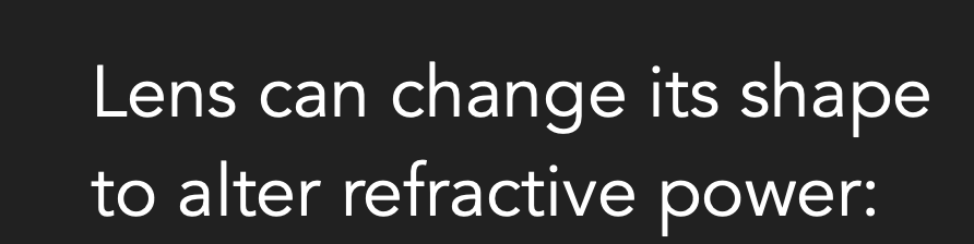 <p>*the lens changes its shape via extension or contraction of the ciliary muscles in our eyes.</p>