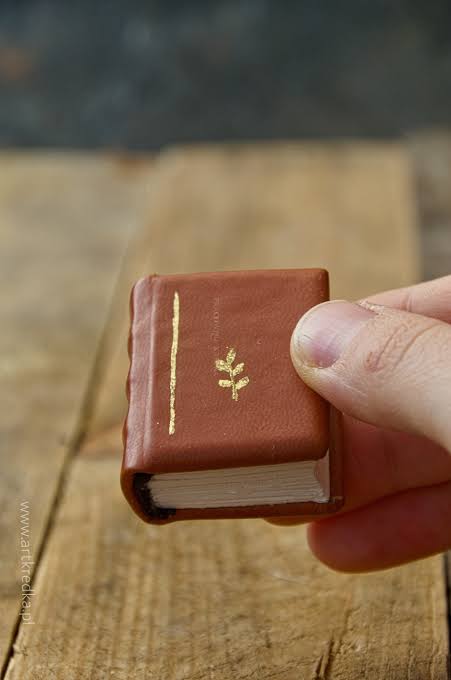 <p>il libro tascabile</p>