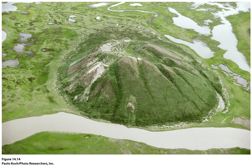 een bolvormige heuvel die ontstaat in een gebied met permafrost waar door het uitzetten van bevroren water een laag grond naar boven wordt gedrukt. 
