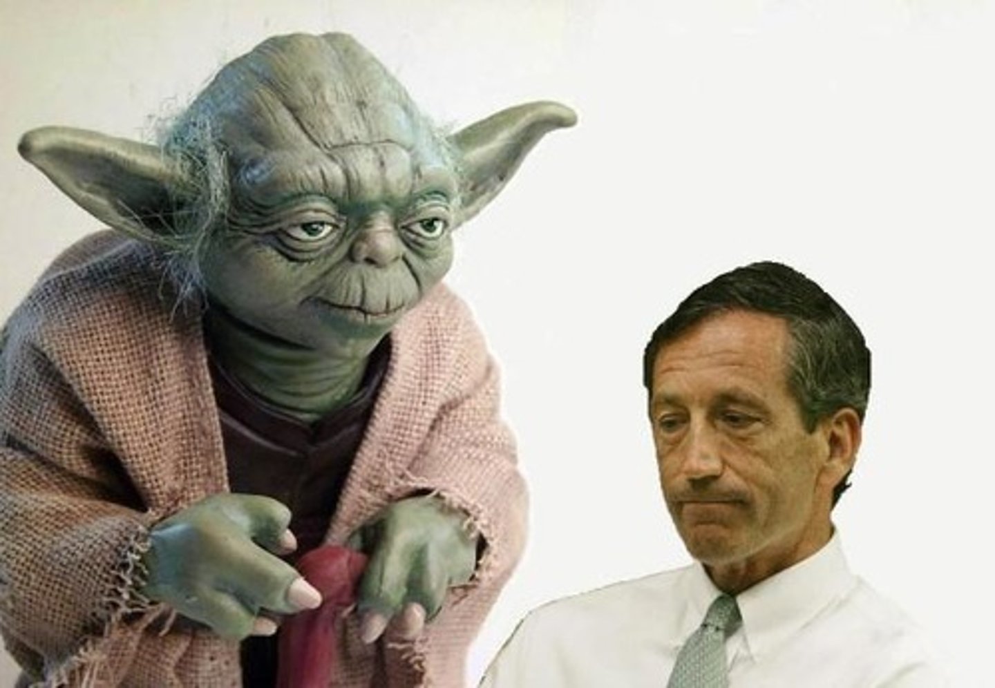 <p>to give advice</p>